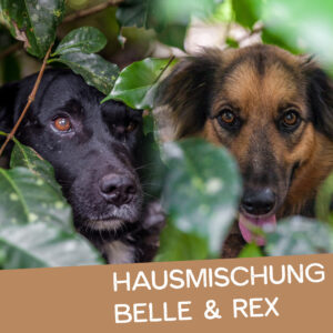 Espresso-Hausmischung: Belle & Rex
