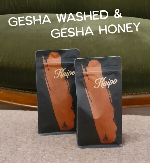 Doppelpack Gesha, Washed/Honey